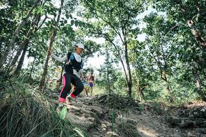 BIB: 
                            <button type="button" onclick="openModal(25761067)" class="btn btn-primary btn-sm float-right btn-popup" data-toggle="modal" data-target=".modal-high-quality">
                        <i class="fas fa-shopping-cart"></i> Add to Cart
                    </button>
                                            <button type="button" onclick="isThisMe(25761067, true)" class="btn btn-success btn-sm float-right btn-popup btn-isme hidden" data-toggle="tooltip" data-placement="bottom" title="นี่คือรูปของคุณใช่ไหม คลิกที่นี่เพื่อเอาเข้าอัลบั้ม">
                        <i class="fas fa-plus"></i> Add to album
                    </button>
                    <button type="button" onclick="isThisMe(25761067, false)" class="btn btn-warning btn-sm float-right btn-popup btn-isnotme hidden">
                        <i class="fas fa-ban"></i> Remove from album
                    </button>